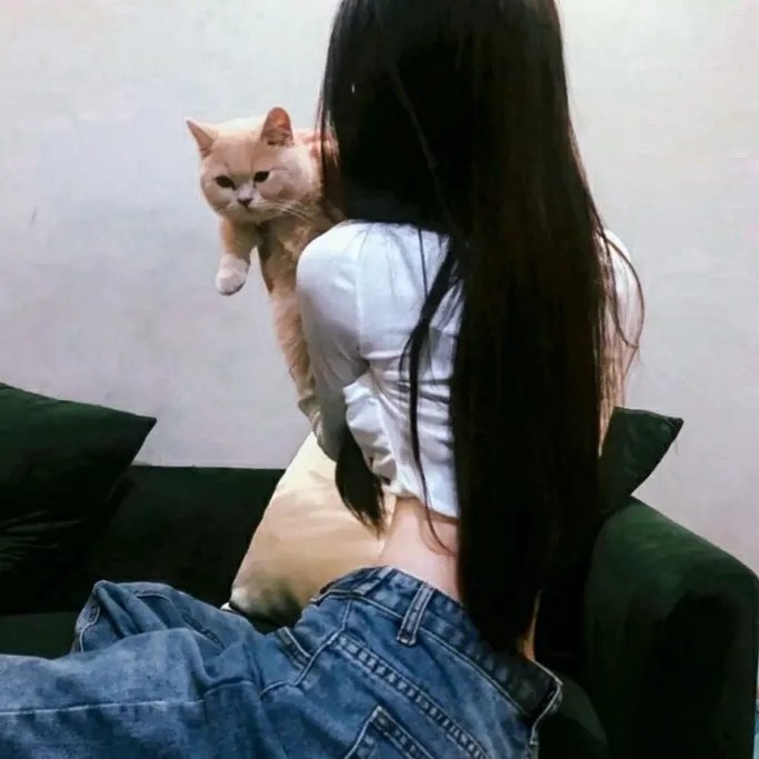 通心树粤语 在线观看