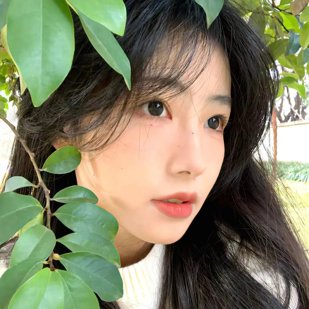 青春恋歌 在线观看