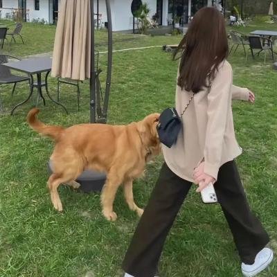 岸边 在线观看